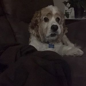 Meet your Posher, Lorae